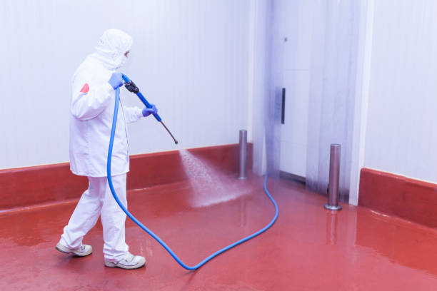 Best Winterizing Services  in Royal Hawaiian Estates, HI